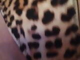 Mis bragas de leopardo